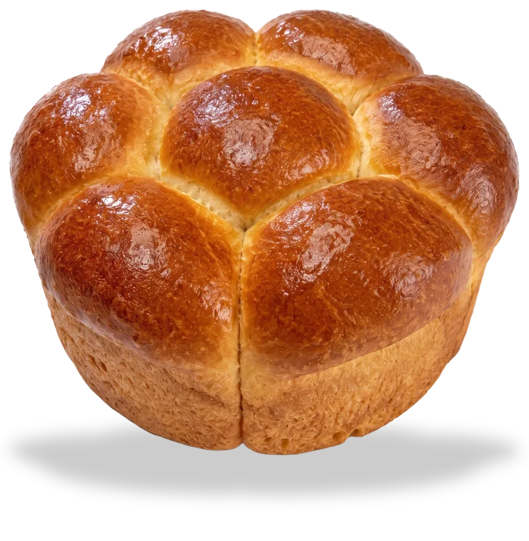 Buchteln