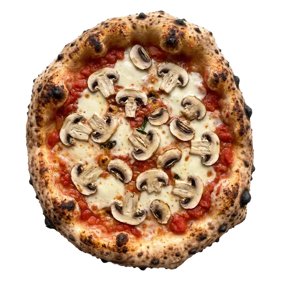Pizza Funghi